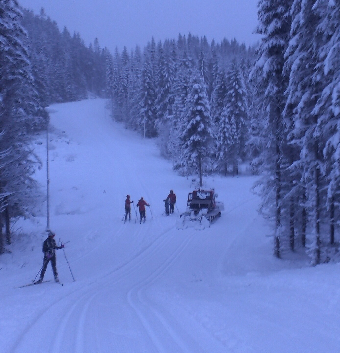 Frosta IL Ski sørger for flotte spor i den nye lysløypa