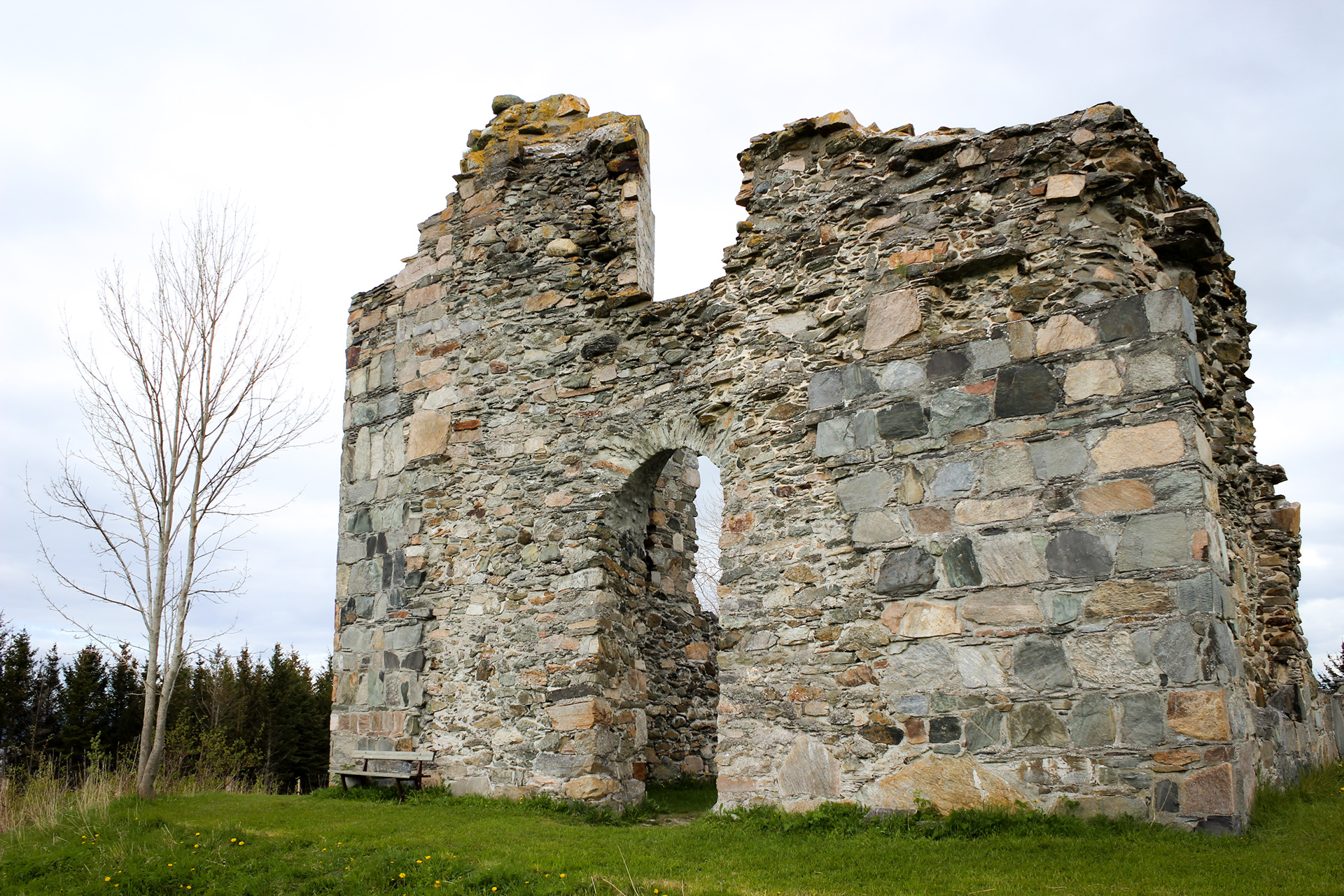 Ruinene av klosterkirken på Tautra, med synlige steinveggstrukturer og en åpen døråpning, omgitt av grønt gress og trær.