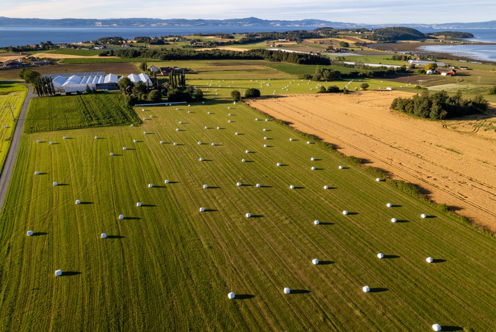 Aerial view of agricultural fields on Frosta with white round bales scattered across the green landscape, surrounded by greenhouses and trees, and a distant view of the ocean.