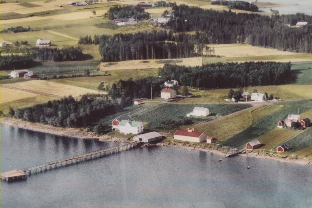 Luftbilde av frodig kulturlandskap med gårder og åkerlandskap nær vann, med bygninger og vegetasjon.
