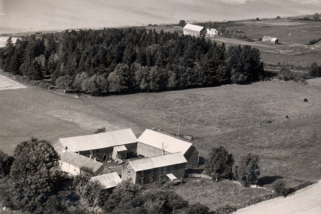 Aerial view of a farm with several buildings surrounded by greenery and fields, showing a mix of agricultural structures and natural landscape.