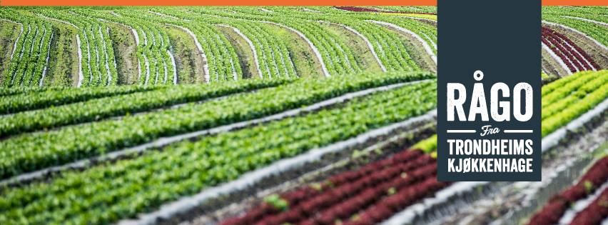 Bilde av grønne, velstelte grønnsaksfelt med rekkende av planter, med logoen til RÅGO i hjørnet.
